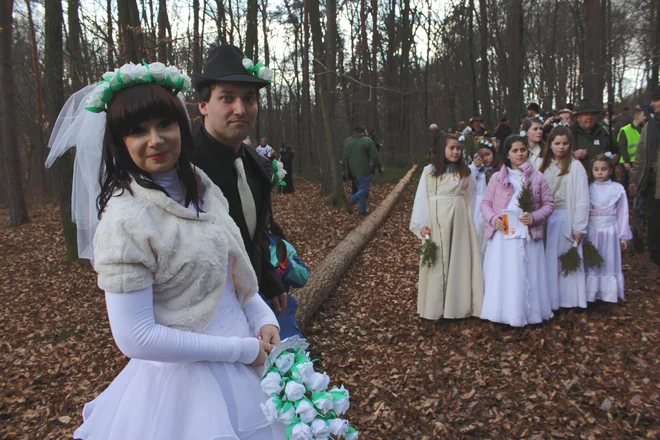 V Prekmurju so zadnje borovo gostüvanje pripravili pred petimi leti v Križevcih. FOTO: Jože Pojbič
