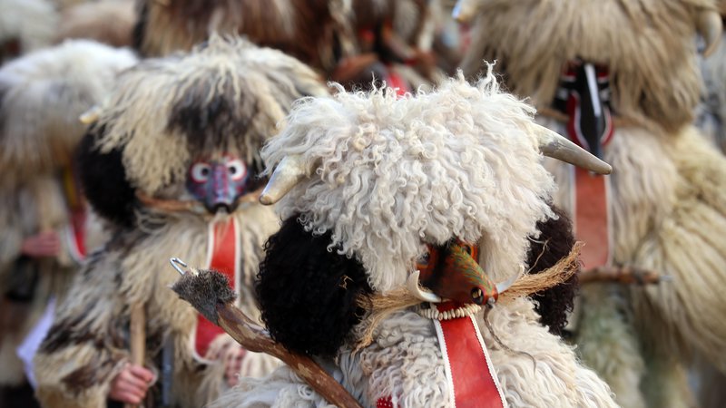 Fotografija: Kurenti so najbolj znan in razširjen tradicionalni pustni lik. FOTO: Tadej Regent
