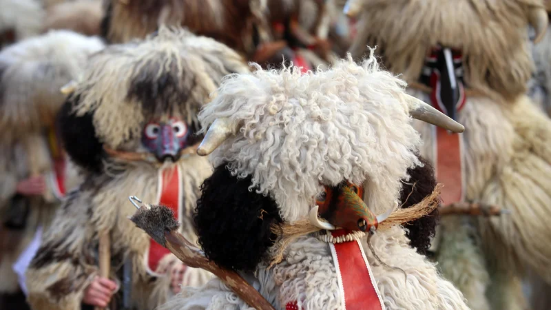 Fotografija: Kurenti so najbolj znan in razširjen tradicionalni pustni lik. FOTO: Tadej Regent