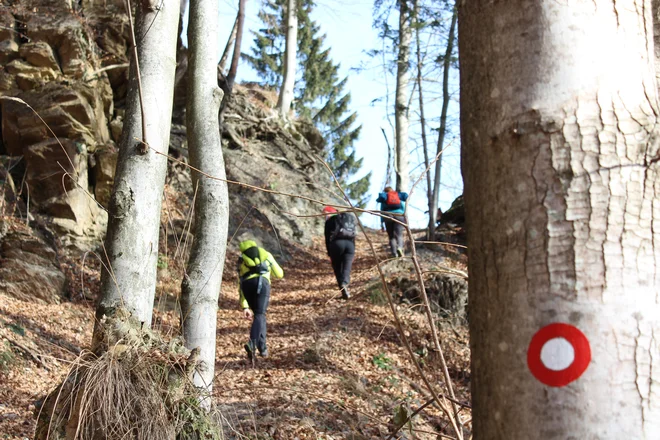 Običajno je narisana v višini oči na desni strani na drevesih, skalah, včasih tudi na drugih objektih. Takoj za razpotjem je navadno vidna naslednja oznaka, ki potrdi, da smo na pravi poti. FOTO: Blaž Močnik/Delo
