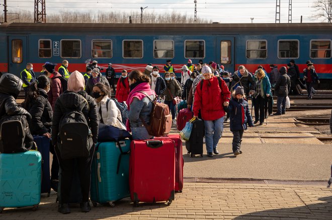 Stanje na madžarsko-ukrajinski meji. FOTO: Voranc Vogel/Delo
