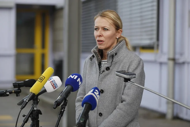 Direktorica urada vlade za oskrbo in integracijo migrantov Katarina Štrukelj. FOTO: Leon Vidic/Delo