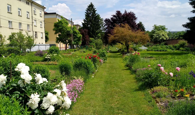 Vrtovi so bili že po izgradnji pred vojno, posebno v toplejšem delu leta, pomemben družabni prostor stanovalcev. FOTO: Karmen Stariha
