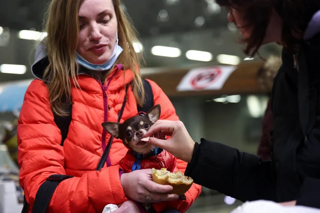 Alina in Elena sta s psom Archiejem že prispeli do Berlina. FOTO: Lisi Niesner/Reuters