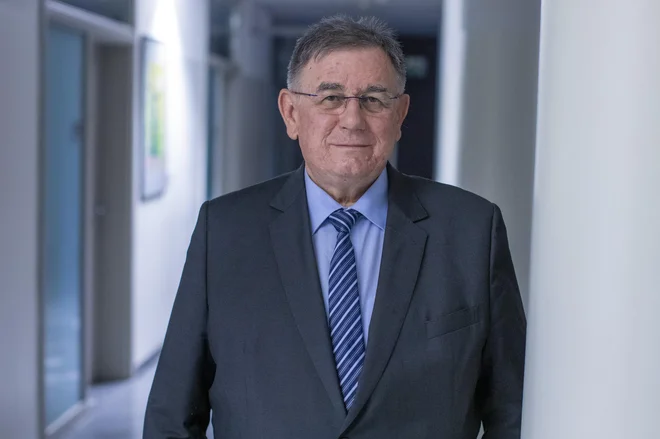 Rajko Pirnat, profesor na pravni fakulteti, FOTO: Voranc Vogel/dELO
