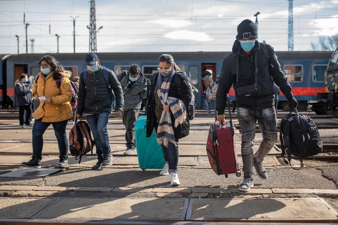 Kdaj in kako naj bi se ukrajinski otroci in mladostniki začeli vključevati v sistem vzgoje in izobraževanja, bo znano v prihodnjih dneh. Univerze pa že iščejo priložnosti za svoje ukrajinske akademske kolege. FOTO: Voranc Vogel/Delo
