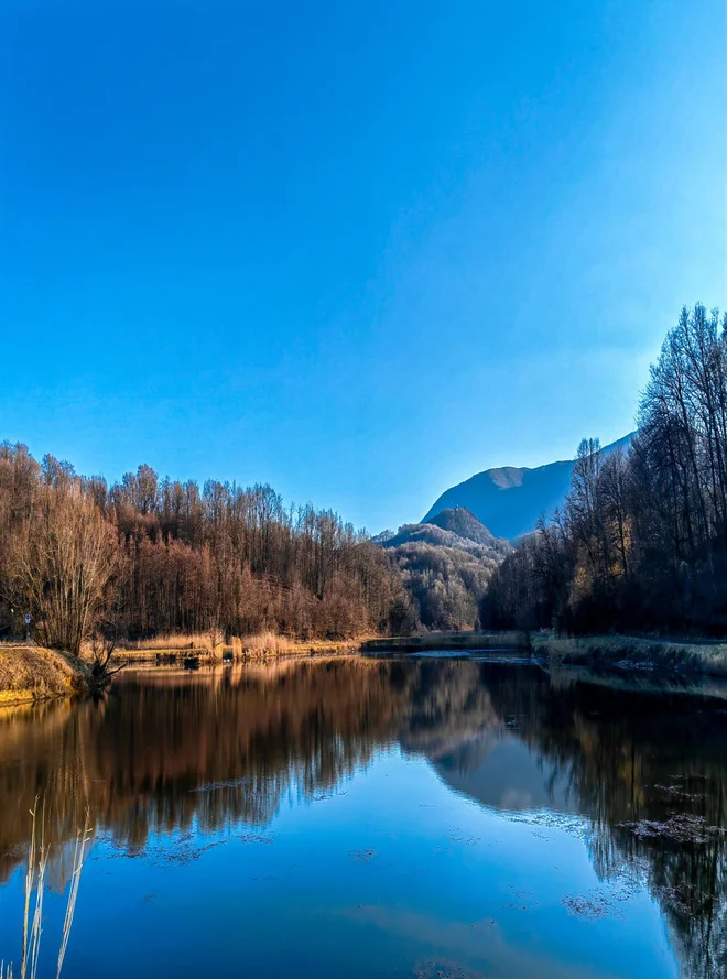 Zobato sonce, Ivanec, foto: Mario Poje
