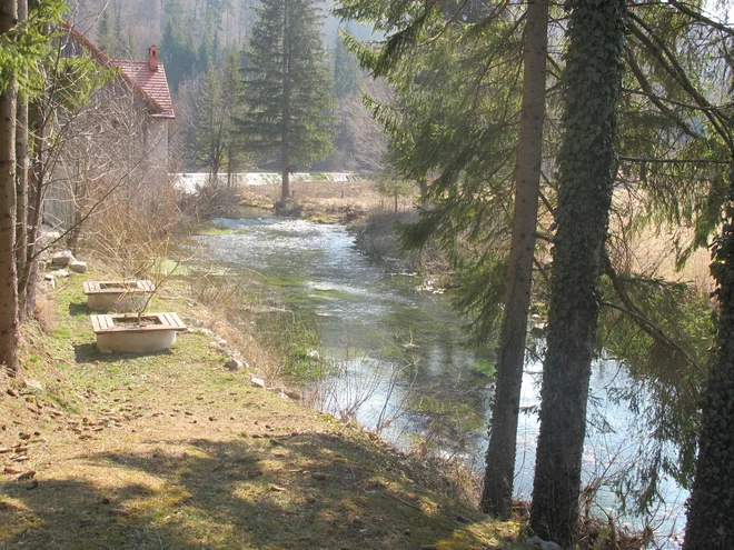 Ob Velikem Obrhu je bilo nekoč več žag in mlinov, zdaj tam razvijajo turizem. FOTO: Simona Bandur
