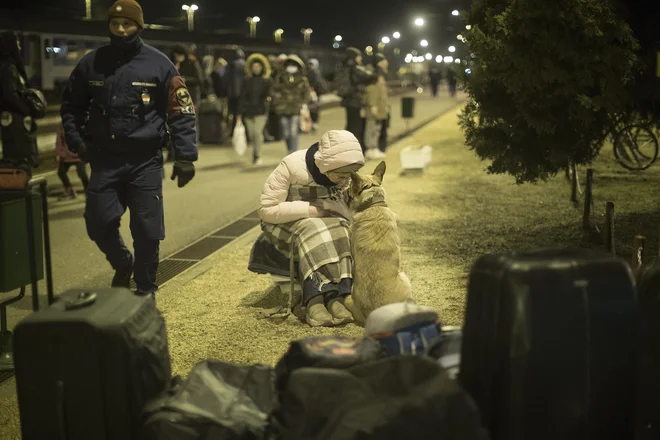 Vojne prisilijo množice ljudi, ki se ne borijo, da se selijo. FOTO: Jure Eržen/Delo
