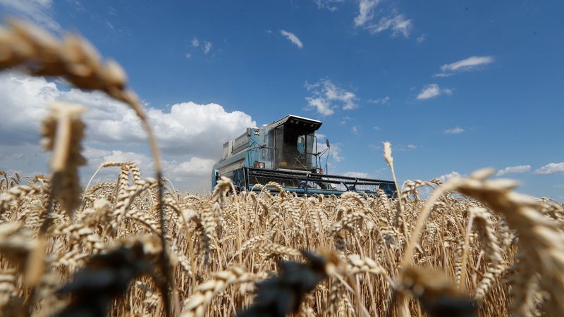 Fotografija: Žetev na poljih pri vasi Hrebeni v kijevski regiji, leto 2020. Ukrajina je evropska žitnica
in bi lahko prehranila 600 milijonov ljudi.

FOTO: Valentin Ogirenko/Reuters

