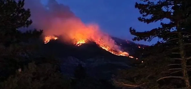 Okoli sto gasilcev se bori s požarom nad cesto Ajdovščina&ndash;Col. FOTO: Facebook PGD Ajdovščina
