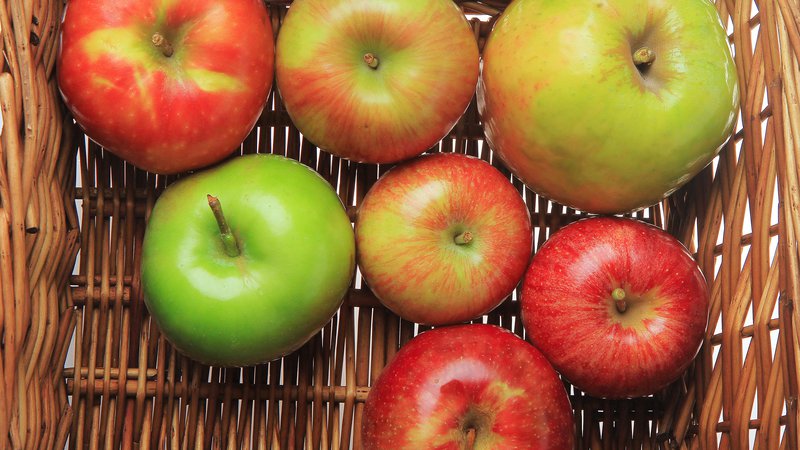 Fotografija: Nekaj ​​tako preprostega, kot je uživanje jabolk, lahko znatno zmanjša tveganje za nekatere vrste raka. FOTO: Jože Suhadolnik/Delo
