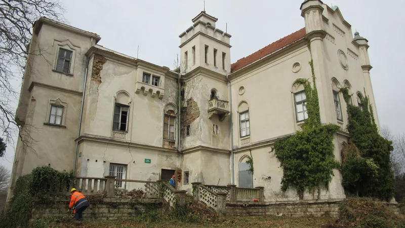 Fotografija: Občina Šmarje pri Jelšah je odslej edina lastnica dvorca Jelše. Za prva nujna popravila potrebujejo vsaj 1,5 milijona evrov. FOTO: Špela Kuralt/Delo
