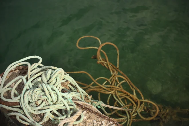 »Digitalna upodobitev oceana nam bo pomagala pri preizkušanju rešitev v prihodnosti.« FOTO: Jure Eržen
