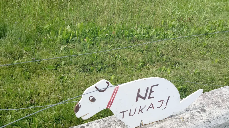 Fotografija: Tu se ne lula. FOTO: Polona Malovrh