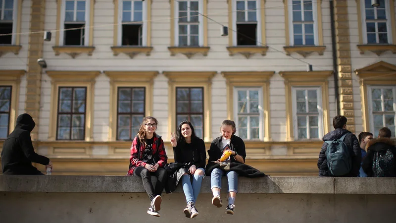 Fotografija: Mladih, ki bi bili pripravljeni iti na volišče, je vse manj, kar je skrb vzbujajoč trend. FOTO: Jure Eržen/Delo