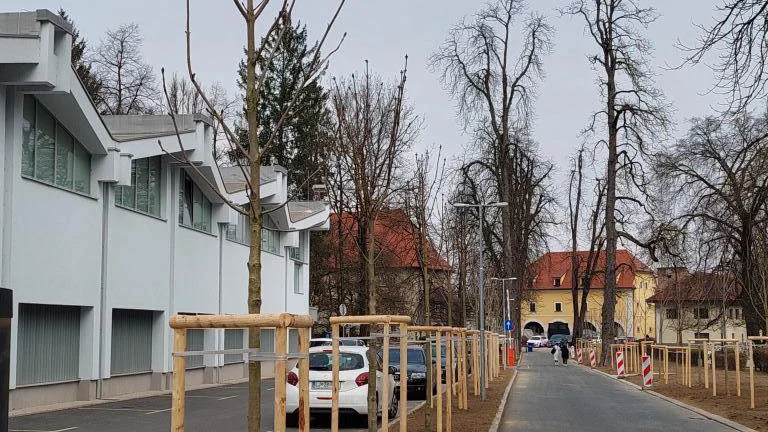 Fotografija: Novo zasajeni divji kostanji v drevoredu parka Kodeljevo
Foto Voka Snaga