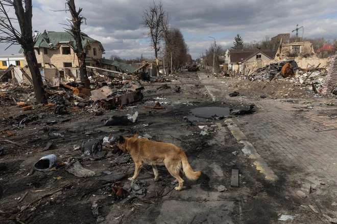 Prizor iz porušene Buče. FOTO: Marko Djurica/Reuters
