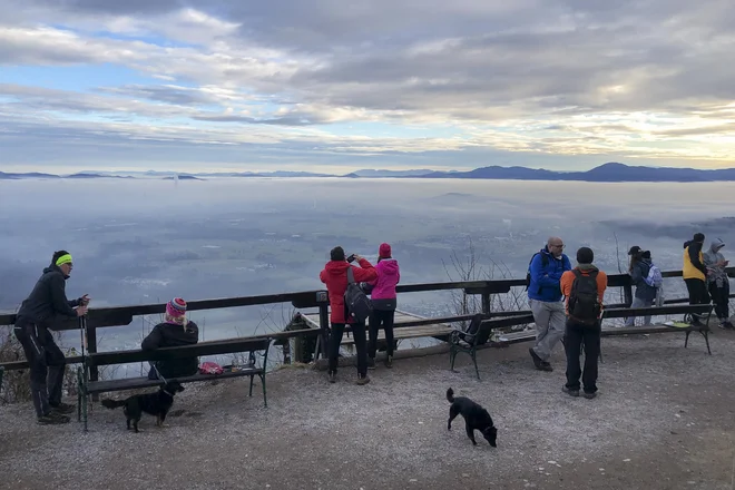 Slovenija je eno izmed naravnih žarišč klopnega meningoencefalitisa, s podnebnimi spremembami so se klopi pojavili tudi tam, kjer jih v preteklosti ni bilo, na primer v više ležečih predelih. FOTO: Jure Eržen/Delo
