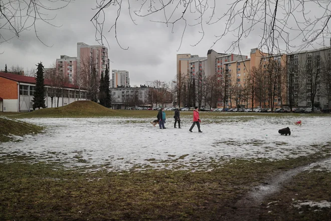 Zemljišča v Šiški ne bo moč pozidati. FOTO: Blaž Samec/Delo
