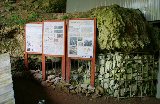 Najmlajše doslej raziskane plasti s paleolitskimi najdbami so nastale v času zadnjih neandertalcev in prvih anatomsko modernih ljudi. FOTO: Arhiv LTO Laufar Cerkno
