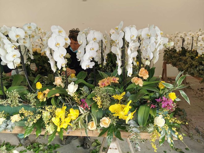 V sredo sta Sabina Šegula in Peter Ribič v Vatikanu začela sestavljati velikonočno dekoracijo, katere pomemben del bodo orhideje iz Dobrovnika. FOTO: Ocean Orchids
