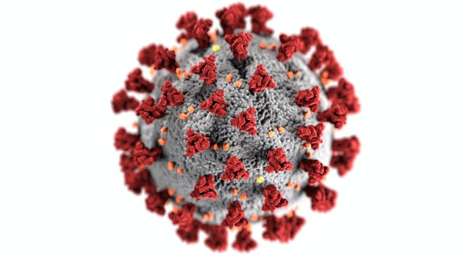 Študije so bile večinoma narejene za prejšnje različice novega koronavirusa. Omikron pa je zelo posebna zgodba. FOTO: Wikipedija
