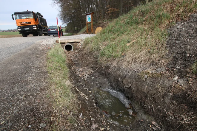 Ena od mofet v Strmcu pri Stavešincih je dobesedno v precej neuglednem obcestnem jarku. FOTO: Jože Pojbič/Delo
