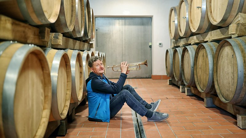 Fotografija: Danilo Steyer vinu zaigra takrat, ko ga ta pokliče. FOTO: Blaž Samec/Delo
