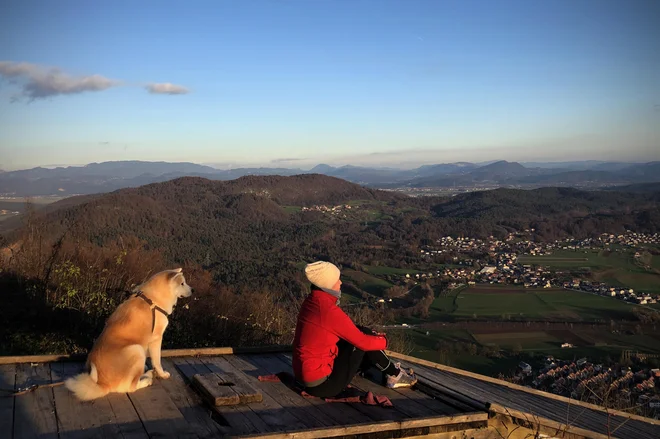 Če imate solidno vzdržljivost, vam dva kilometra teka, tudi v najpočasnejšem tempu, ne bi smel predstavljati težav. FOTO:&nbsp;Jure Eržen/Delo
