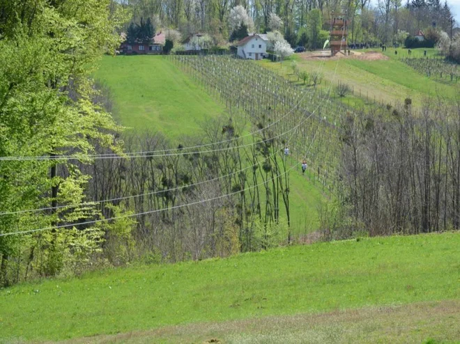 Nekaj več kot 500 metrov dolgi jeklenici bosta na najhitrejši točki omogočali spuščanje med 50 in 60 kilometri na uro. FOTO: Lendava.si
