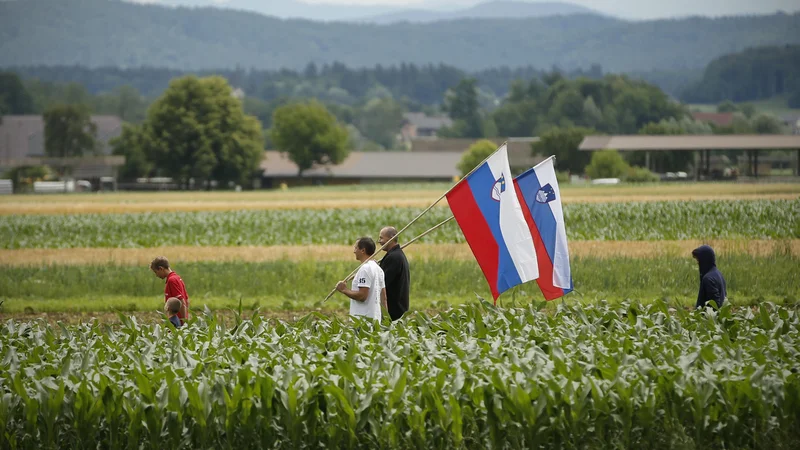 Fotografija: V Sloveniji obeležujemo državni praznik. FOTO: Jure Eržen/Delo