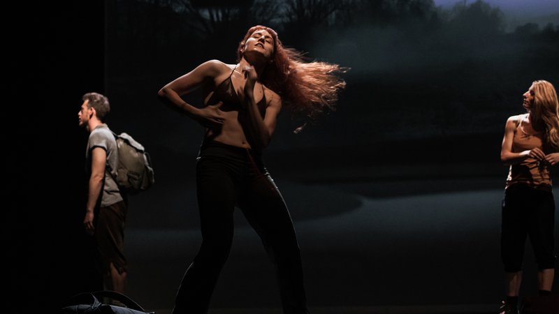 Fotografija: Navdih nove plesne predstave Hidra je fragment dramskega besedila Cement avtorja Heinerja Müllerja. FOTO: Andrej Lamut
