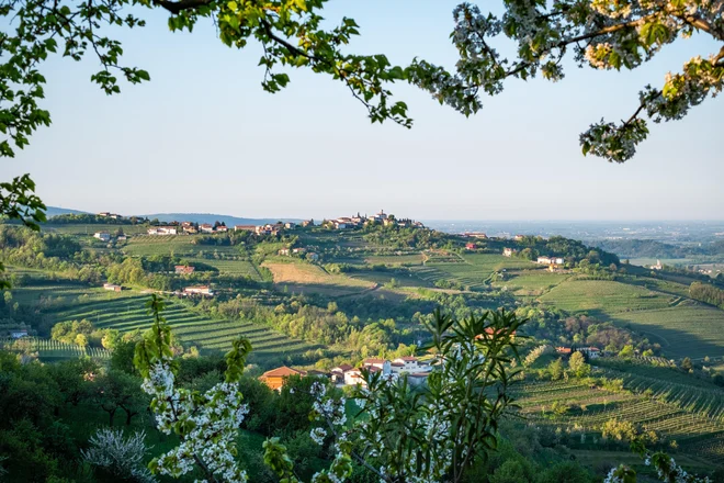 FOTO: Shutterstock
