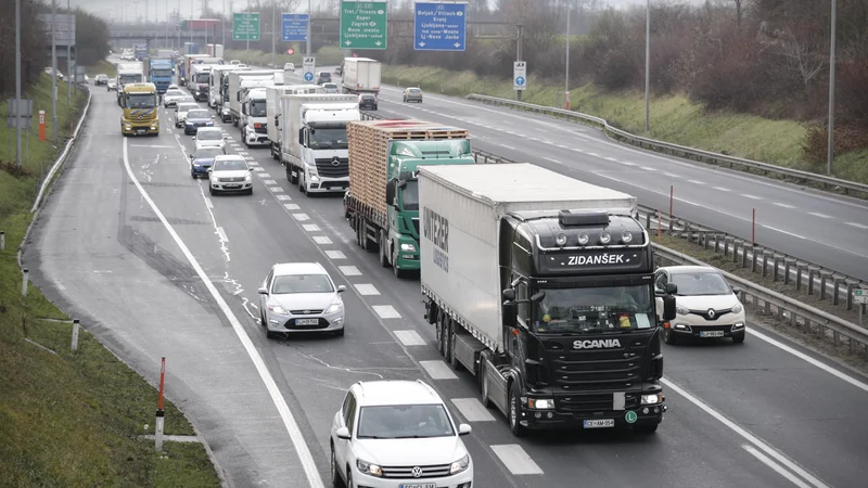 Fotografija: Fotografija je simbolična. FOTO: Uroš Hočevar/Delo
