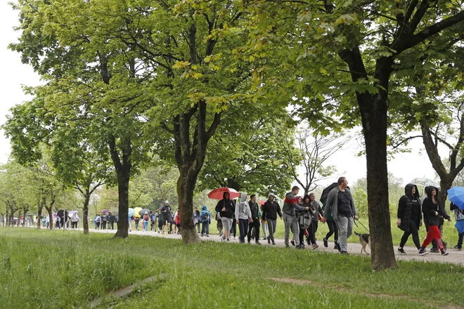 Pot se je vila skozi drevorede ob Poti spominov in tovarištva.
