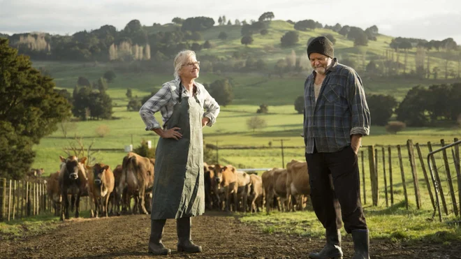 Zvonarček Foto Tv Slo

