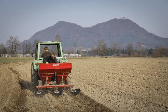 &raquo;Primerjava&nbsp;indeksov rasti odkupnih cen in cen vhodnih stroškov v kmetijski pridelavi kaže, da se razmere v kmetijstvu še kar naprej slabšajo v breme kmetov,&laquo;&nbsp;poudarjajo na KGZS. FOTO:&nbsp;Jože Suhadolnik/Delo
