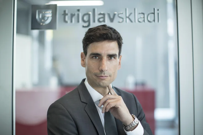Andrej Petek, član uprave Triglav Skladi. FOTO: Jure Eržen/Delo
