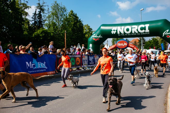 Maraton treh src se je v zgodovino že zapisal kot prva tekaška prireditev v Sloveniji, ki je namenjena tudi voditeljem psov in njihovim štirinožnim prijateljem. FOTO: Ernad Ihtijarevič
