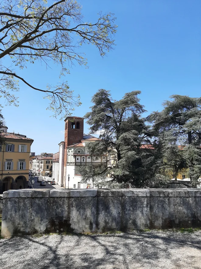 Med kolesarjenjem v senci dreves se ponujajo lepi razgledi na mesto. Vmes je mogoče narediti postanek in si ogledati kakšno znamenitost. FOTO: osebni arhiv
