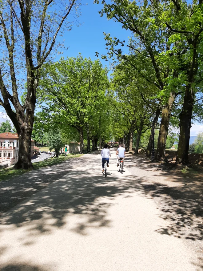 Obzidje, ki je urejeno kot mestni park in odprto za sprehajanje, tek in kolesarjenje, meri štiri kilometre in dvesto metrov. FOTO: osebni arhiv
