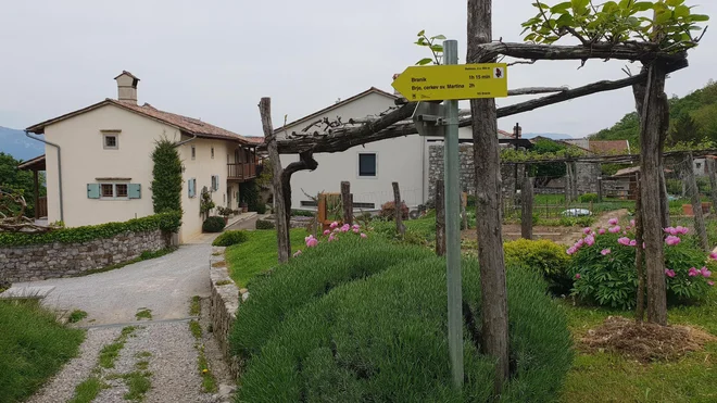 Smerokazi, po katerih je mogoče prepoznati pot sv. Martina. FOTO: P. A.
