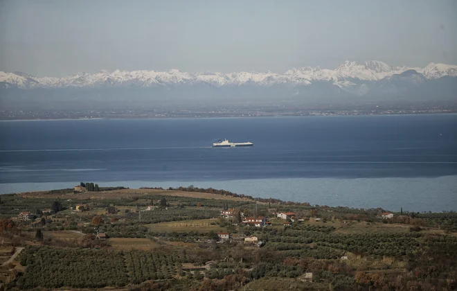 Štiri vrste morskih trav rastejo tudi v našem morju. FOTO: Blaž Samec
