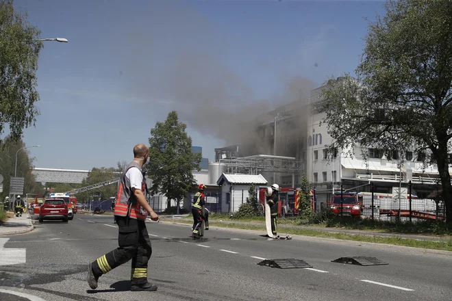 V zraku v Kočevju menda ni strupov. FOTO: Leon Vidic/Delo
