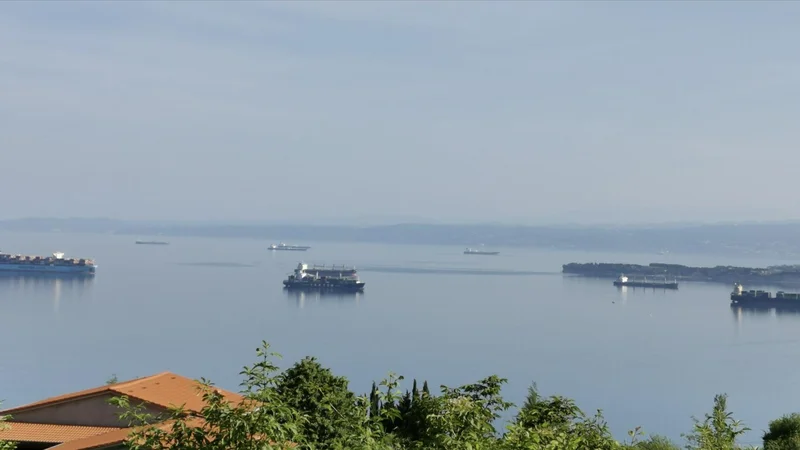 Fotografija: Ladje zaradi računalnikov čakajo na sidrišču. Očitno so se v Luki slabo pripravili na prehod na novi program. Toda ladje čakajo tudi pred Trstom (v ozadju). FOTO: Boris Šuligoj