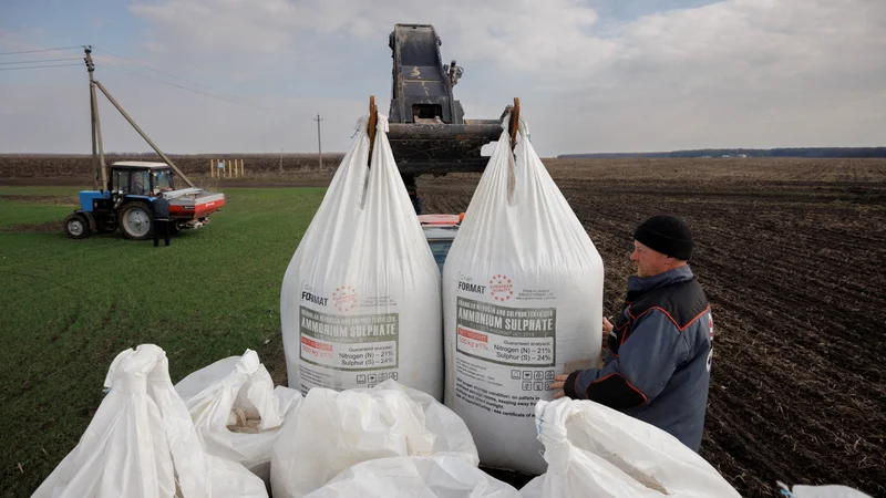 Fotografija: Namesto po Črnem morju bo Ukrajina lahko več žita izvozila prek EU. FOTO: Thomas Peter/Reuters