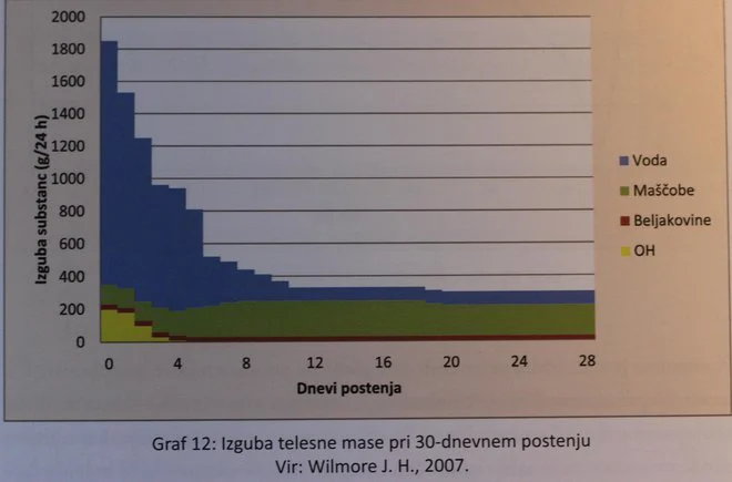 Graf prikazuje, da zlasti v prvih dneh postenja izgubimo telesno maso na račun izgube tekočine in izčrpanja zalog glikogena.
