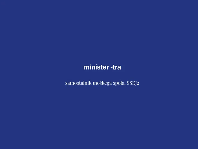 Beseda tedna je minister. FOTO: Delo
