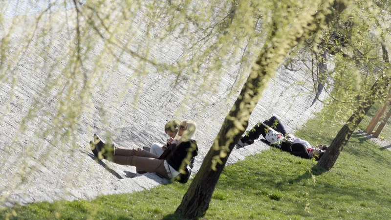 Fotografija: Sanjarije samotne sprehajalke se nas vodijo tudi skozi zgodnjo pomlad. FOTO: Mavric Pivk/Delo